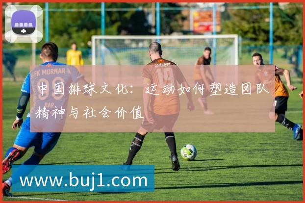 中国排球文化:运动如何塑造团队精神与社会价值
