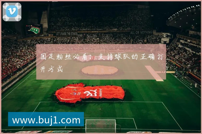 国足粉丝必看:支持球队的正确打开方式