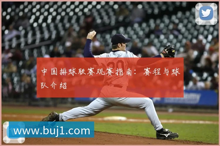 中国排球联赛观赛指南:赛程与球队介绍